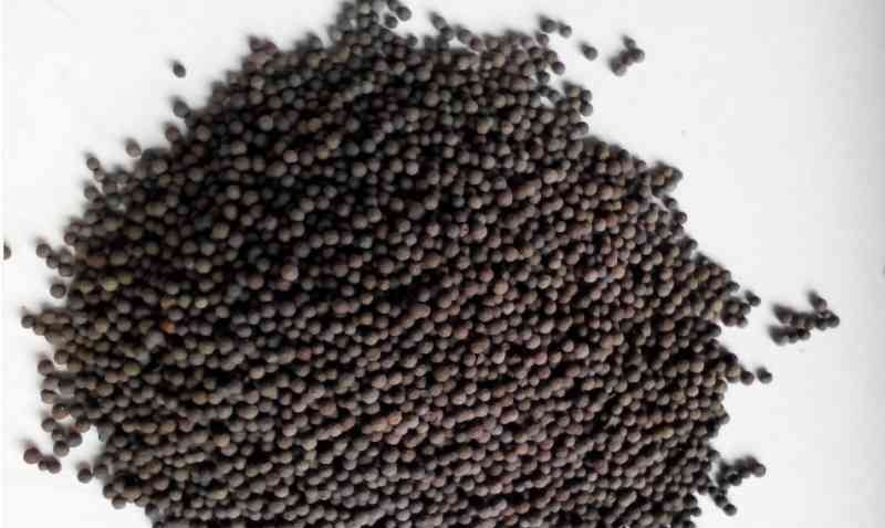 http://www.sh-shangwei.cn