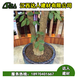 花卉園林陶粒好不好用？
